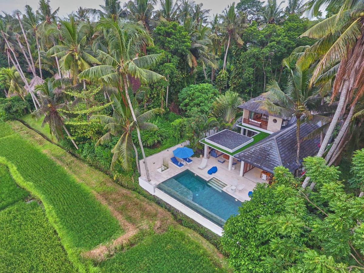 Villa Balinese Luxurious Elegance Ubud Dış mekan fotoğraf